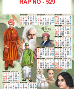 RAP NO - 529