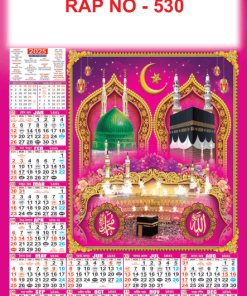 RAP NO  - 530