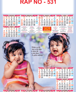 RAP NO - 531