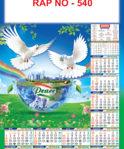 RAP NO  - 540