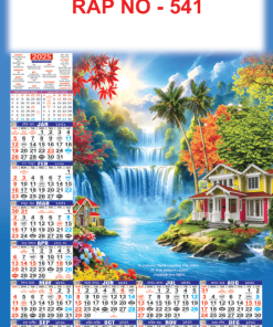 RAP NO - 541