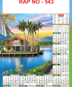 RAP NO - 543