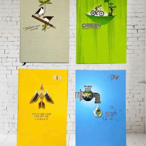 Diary no N-6