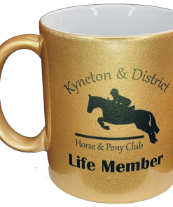 Alternative view of Gold Silver Mug