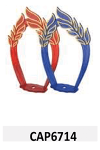 CAP6714
