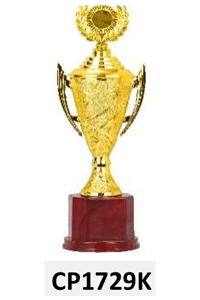 CP1729K
