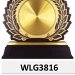 WLG3816