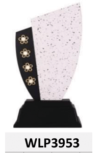 WLP3953