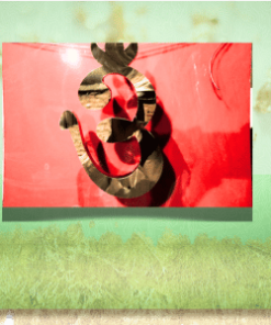 Alternative view of NP 15