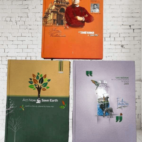 Diary no N-19